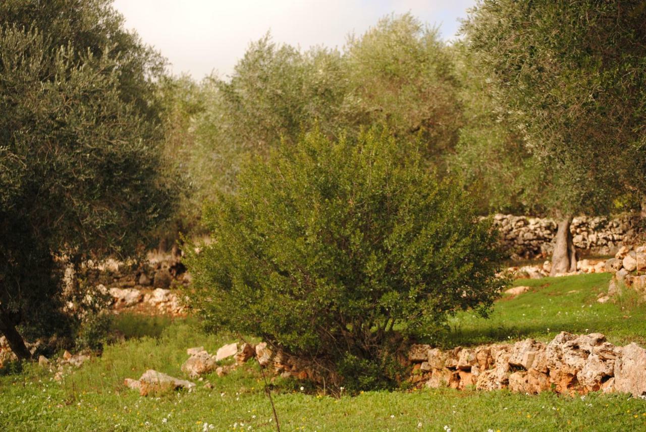 Il Giardino Di Viola Bed & Breakfast Ceglie Messapica Exterior photo