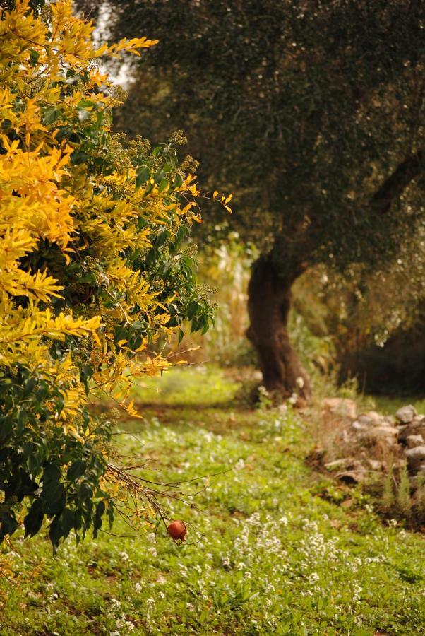 Il Giardino Di Viola Bed & Breakfast Ceglie Messapica Exterior photo