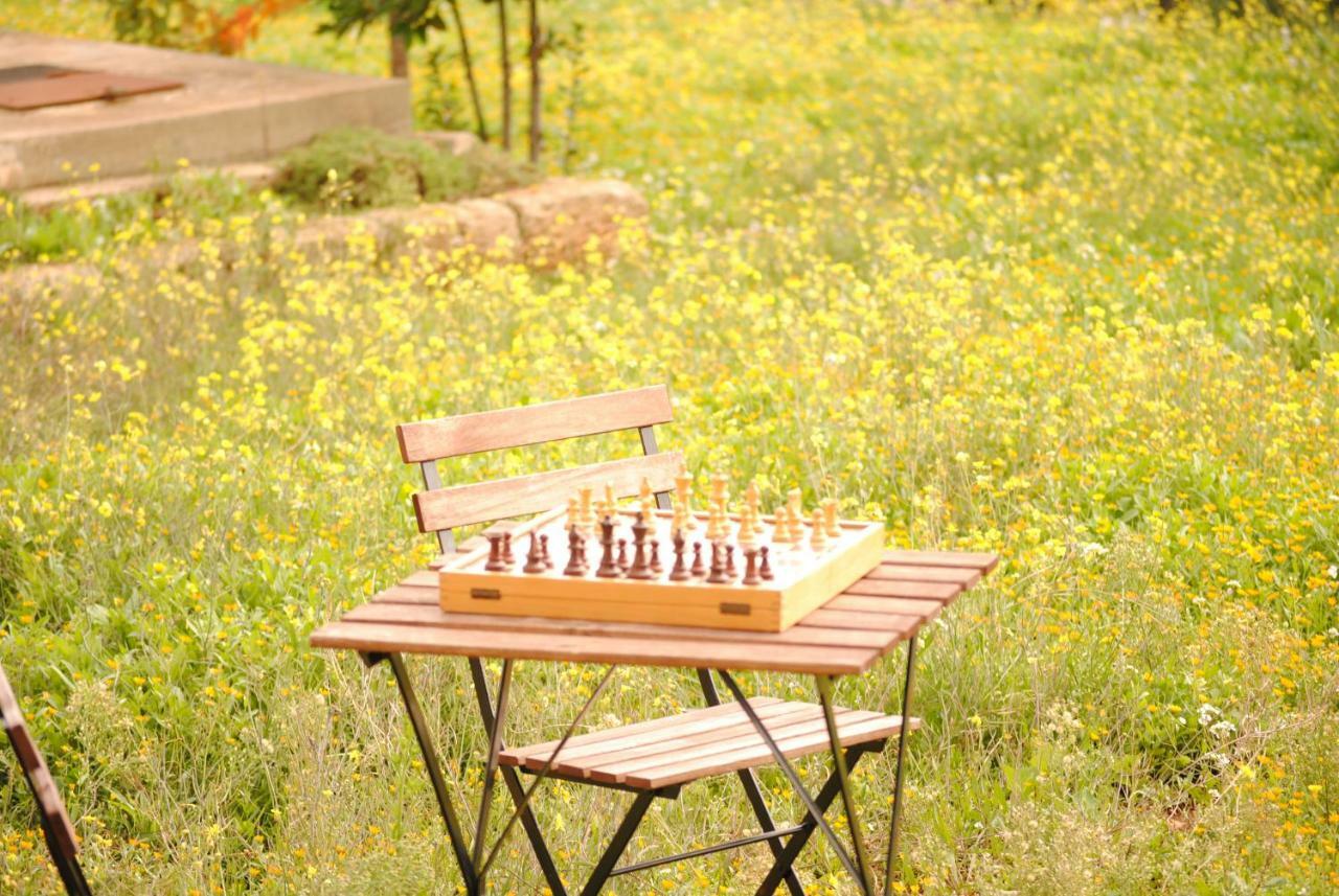 Il Giardino Di Viola Bed & Breakfast Ceglie Messapica Exterior photo