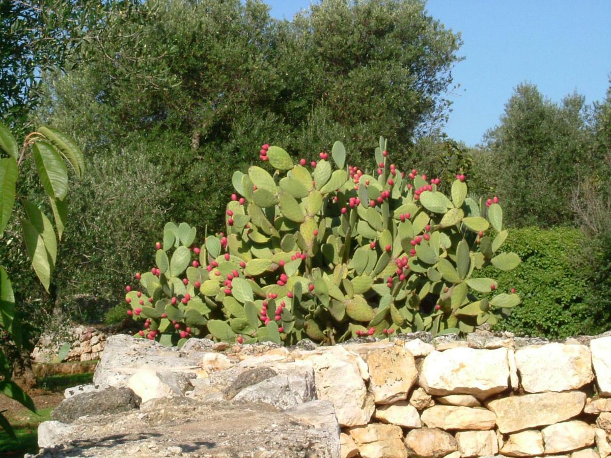Il Giardino Di Viola Bed & Breakfast Ceglie Messapica Exterior photo