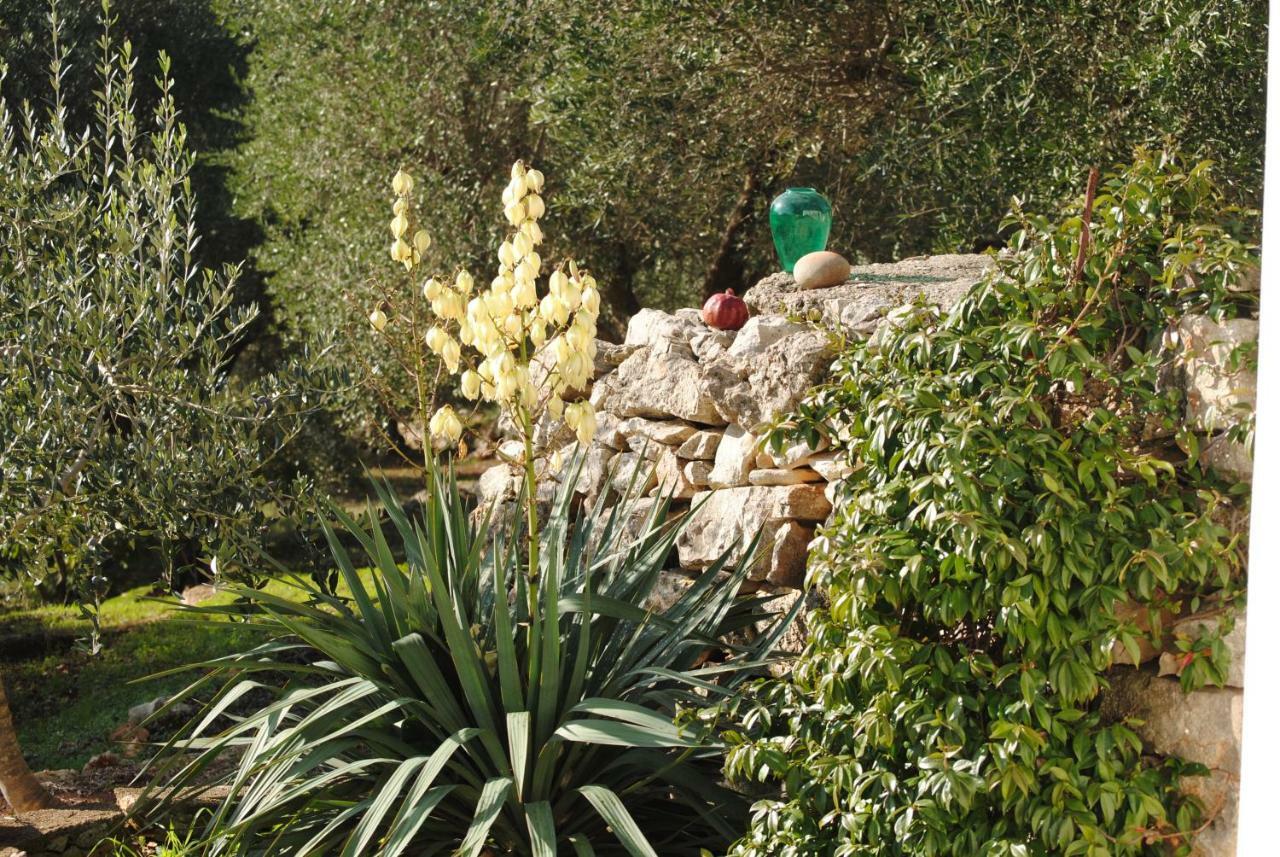 Il Giardino Di Viola Bed & Breakfast Ceglie Messapica Exterior photo