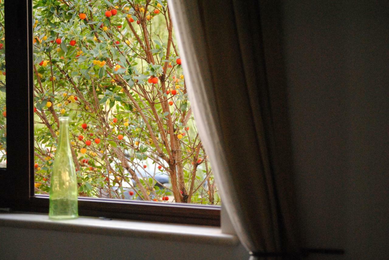 Il Giardino Di Viola Bed & Breakfast Ceglie Messapica Exterior photo