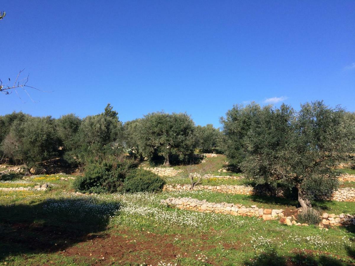 Il Giardino Di Viola Bed & Breakfast Ceglie Messapica Exterior photo