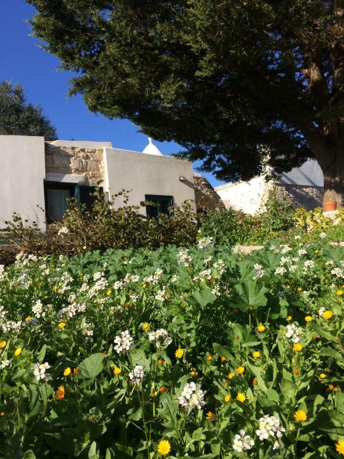 Il Giardino Di Viola Bed & Breakfast Ceglie Messapica Exterior photo