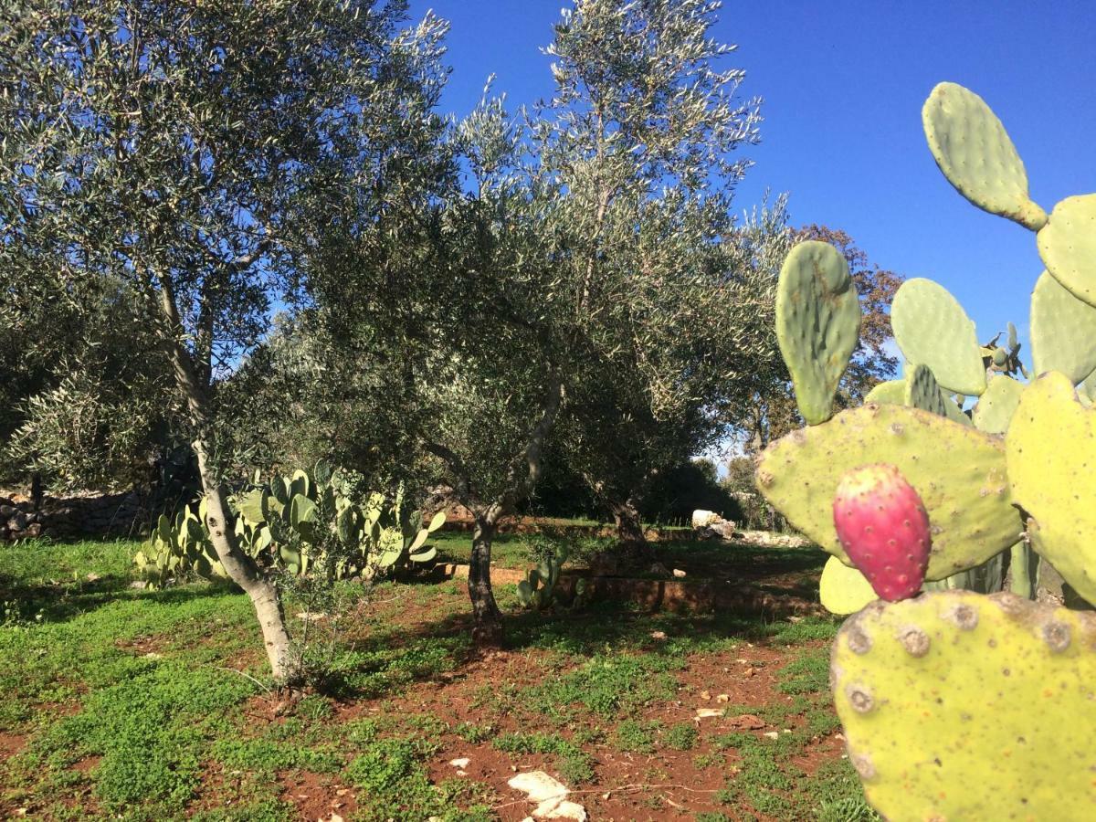 Il Giardino Di Viola Bed & Breakfast Ceglie Messapica Exterior photo