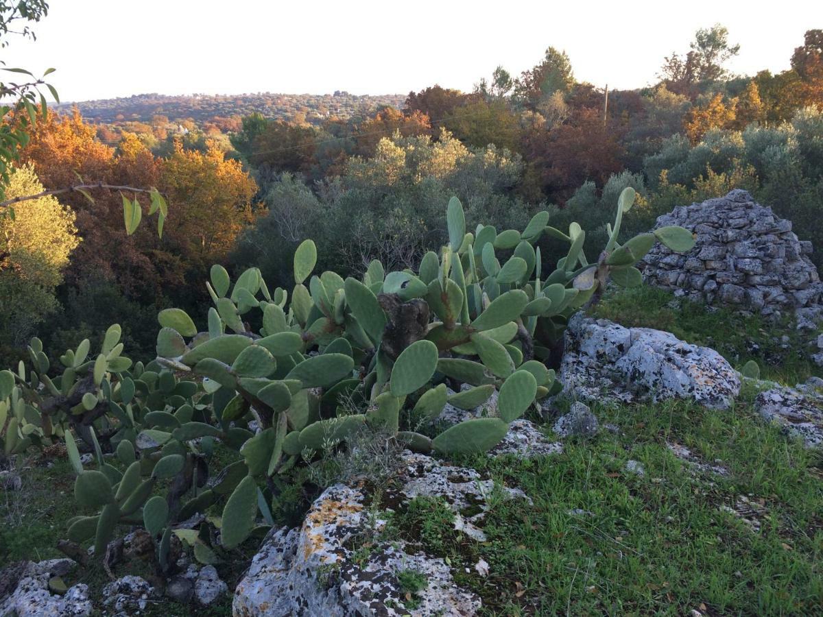 Il Giardino Di Viola Bed & Breakfast Ceglie Messapica Exterior photo